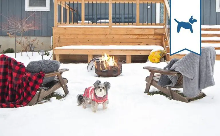 Lemon Lake Haus Winter Cottage rental 3 bedroom cottage vacation rental Bayfield GrandBend Ontario