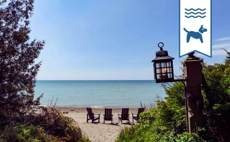 Huron Shores vacation rental pet friendly lakefront beachfront point clark lake huron cottage rental