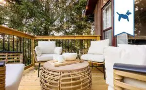 Camerons Peaceful Pines vacation-rental-pet-friendly-3-bedroom-bayfield-ontario-summer-winter-cottage-rental