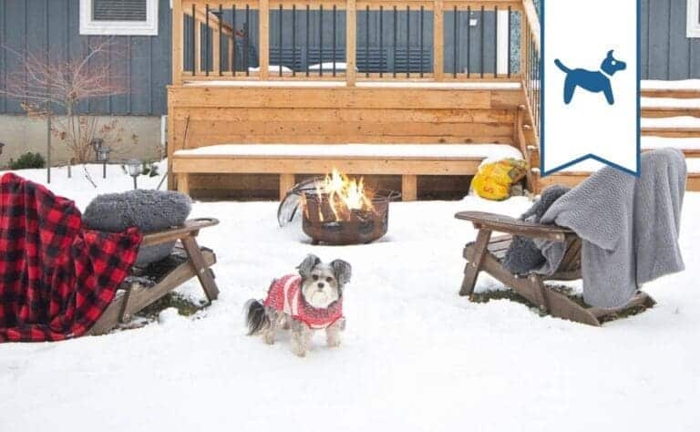 FEATURE small Lemon Lake Haus Winter Cottage rental 3 bedroom cottage vacation rental Bayfield GrandBend Ontario 1 768x474