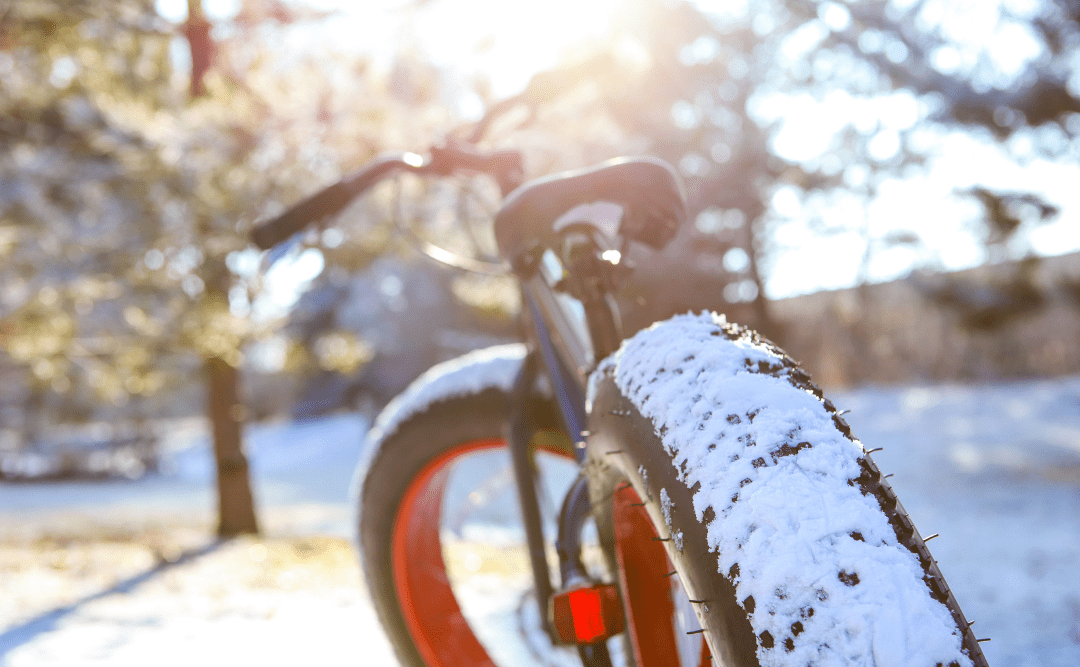 Fat biking Ontario Fat Biking in Snow