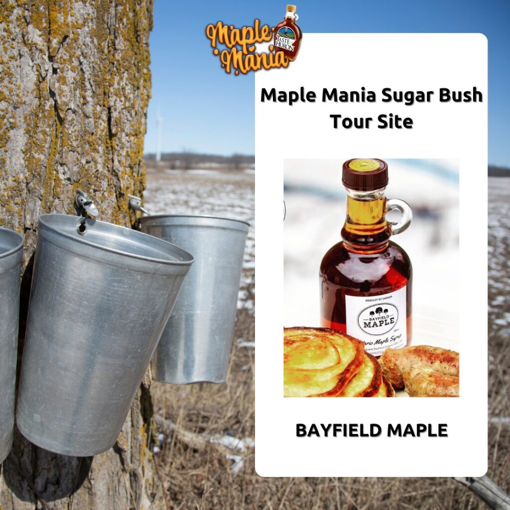 Sugar Bush tour at Bayfield Maple part of Maple Mania in Huron County Favorite Things to do in Bayfield 