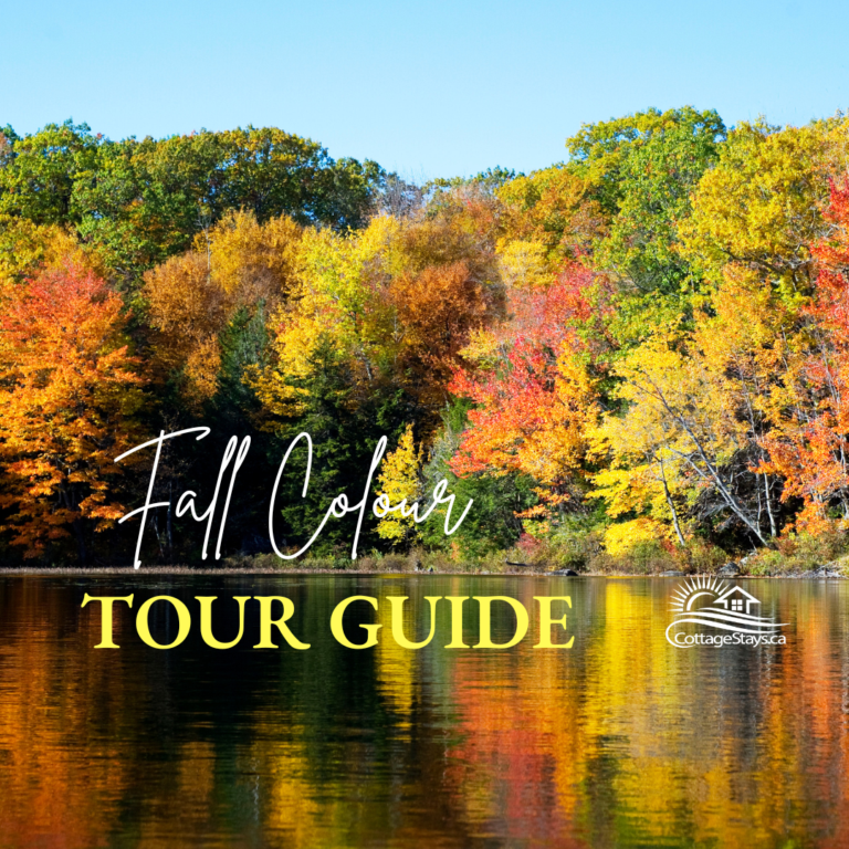 Fall Colour (2)