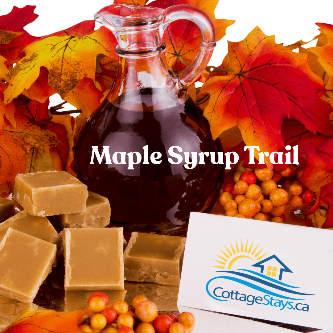 Maple Syrup