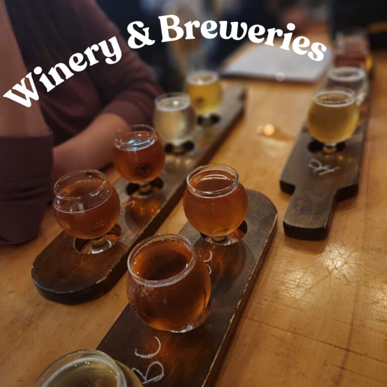 Winery and Breweries