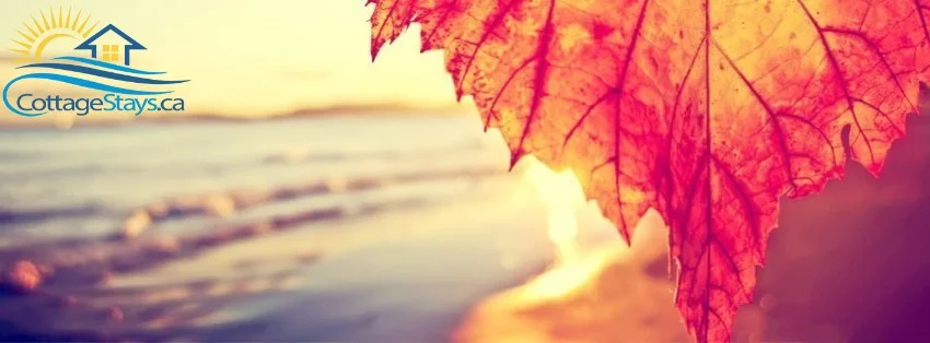 Red and golden autumn maple leaves with waterfront view at sunset in Grand Bend
